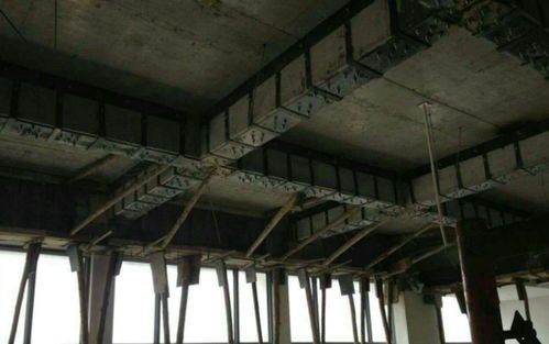 茂名房屋加固隊